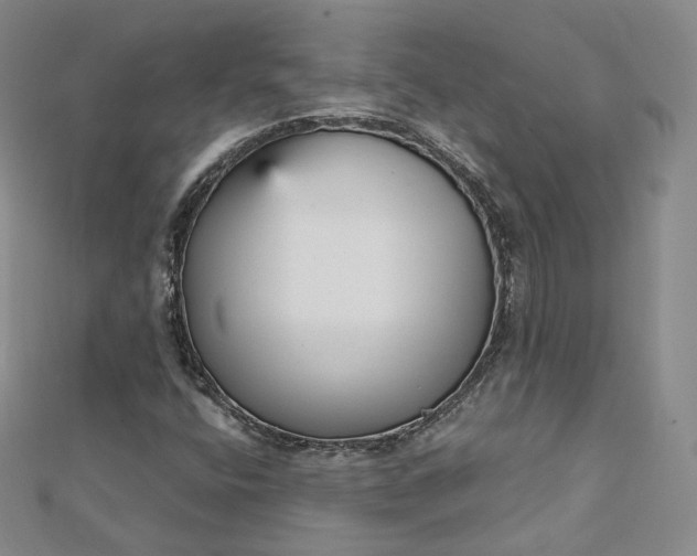 X0000112761400200909031538