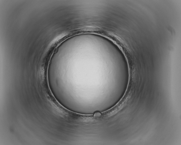 X0000112761402200909031538