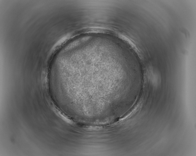 X0000112761403200909031538