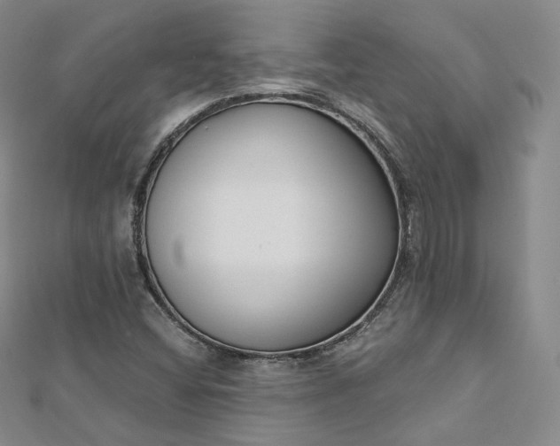 X0000112761404200909031538