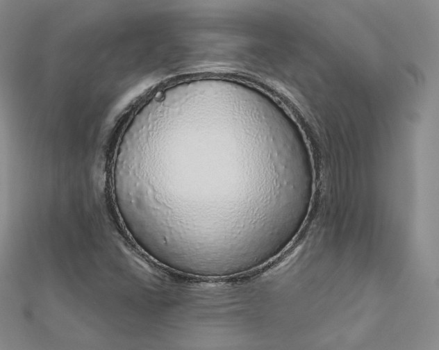 X0000112761406200909031538
