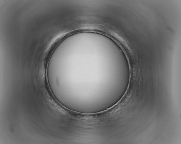 X0000112761408200909031538