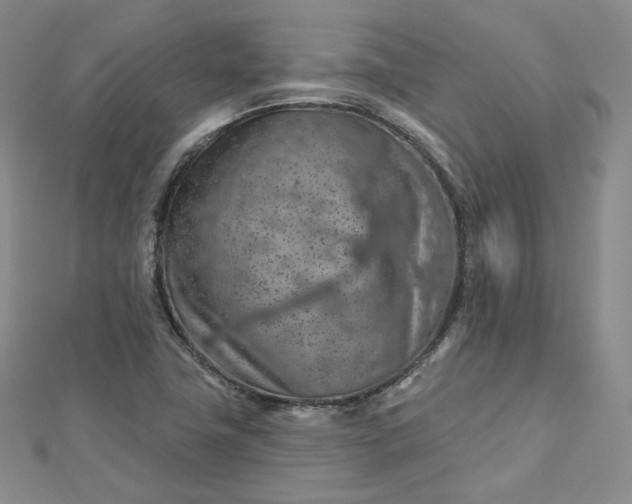 X0000112761411200909031538