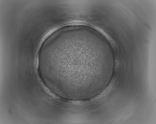 X0000112761413200909031538