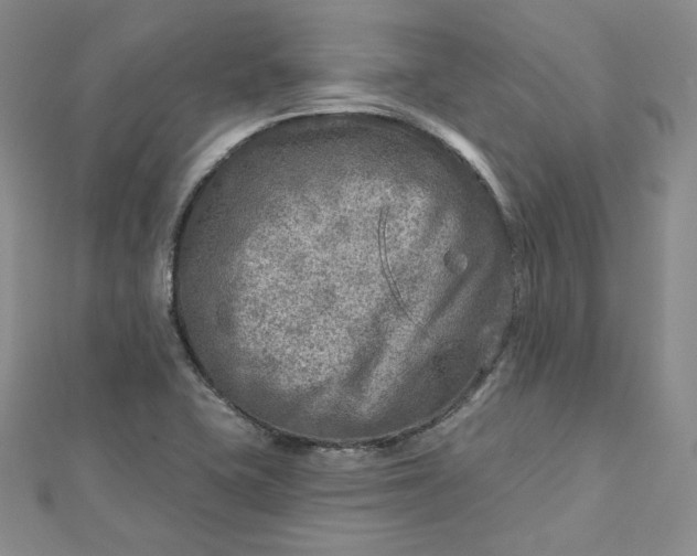 X0000112761415200909031538