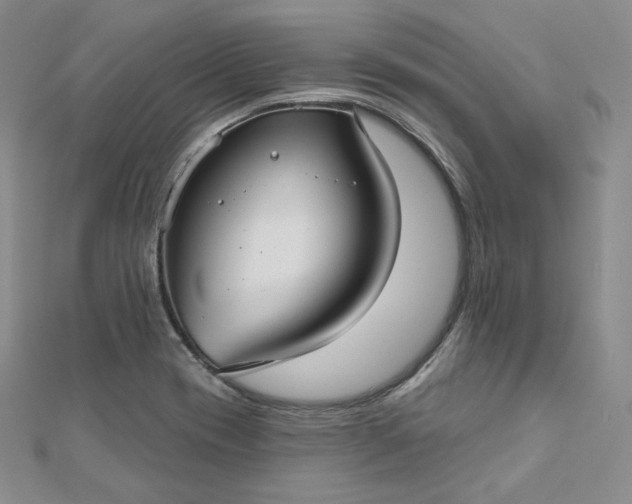 X0000112761417200909031538