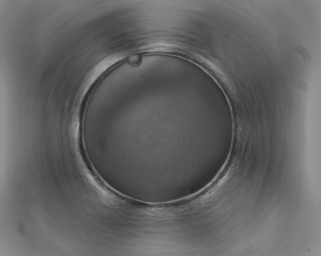 X0000112761418200909031538