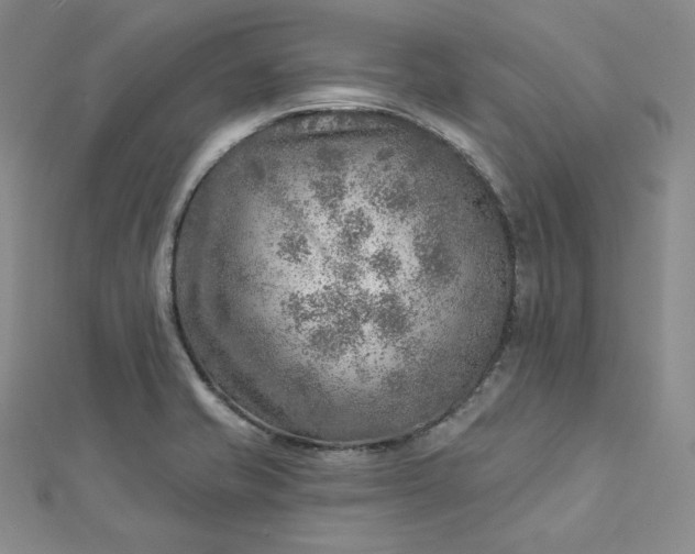 X0000112761421200909031538