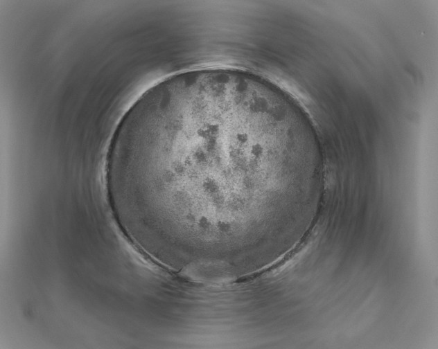 X0000112761423200909031538
