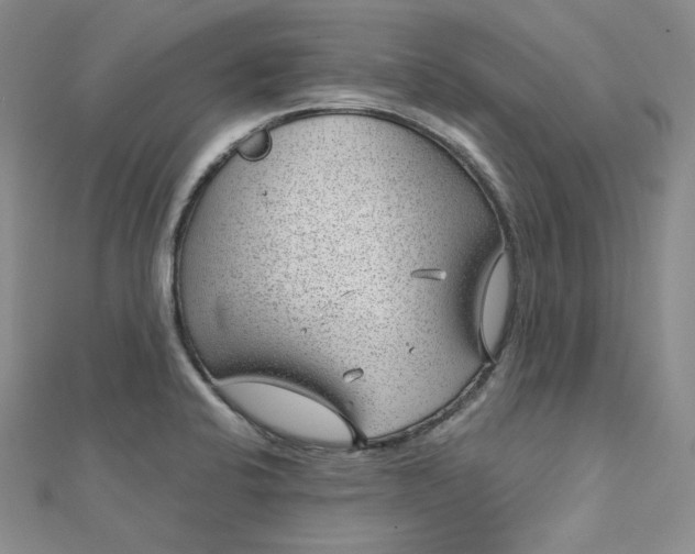 X0000112761424200909031538