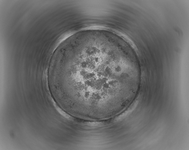 X0000112761425200909031538