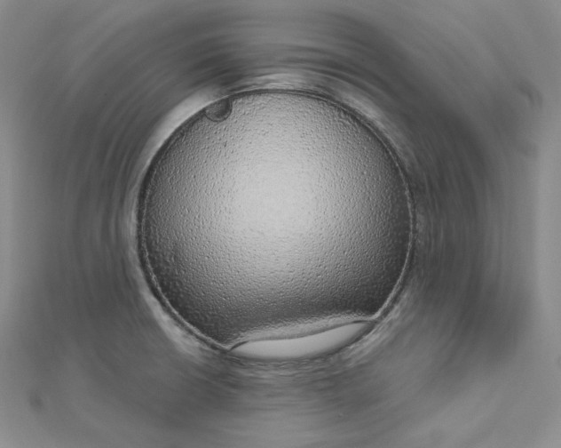 X0000112761426200909031538