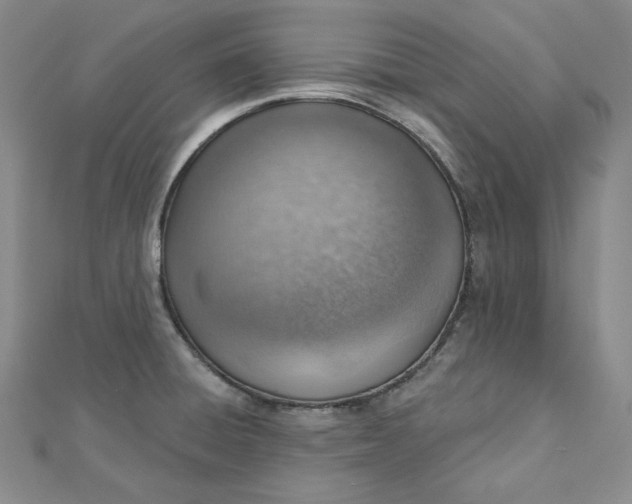 X0000112761428200909031538