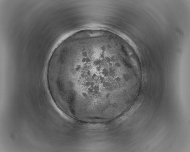 X0000112761429200909031538