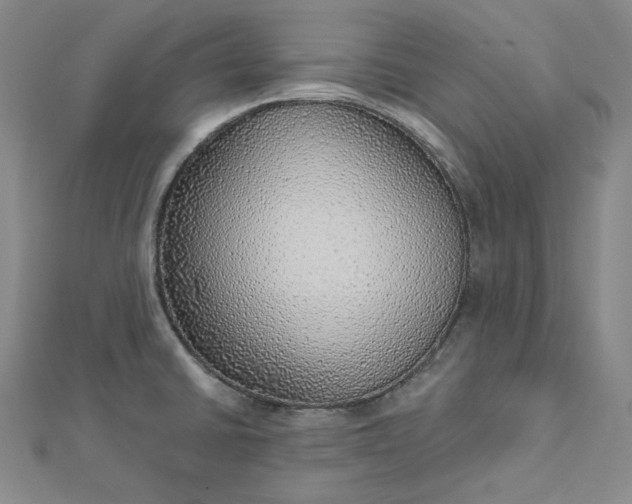X0000112761430200909031538