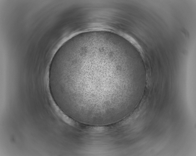 X0000112761431200909031538