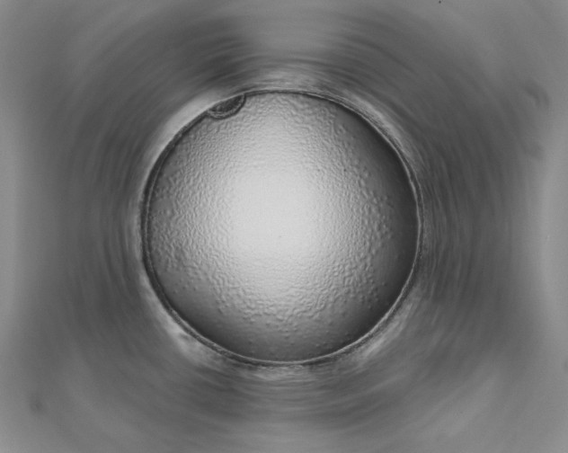 X0000112761434200909031538