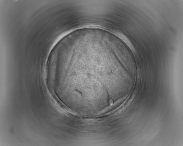 X0000112761436200909031538