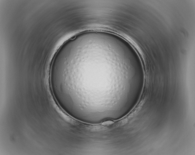 X0000112761437200909031538