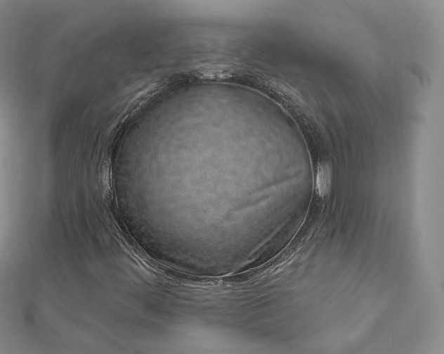 X0000112761444200909031538