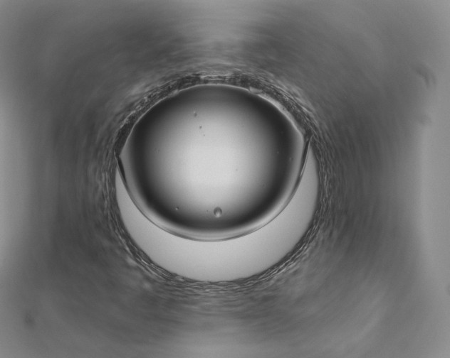 X0000112761445200909031538