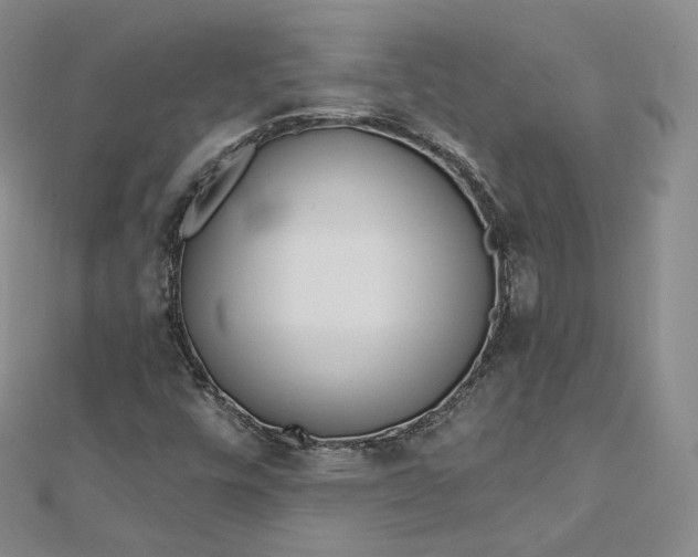 X0000112761448200909031538