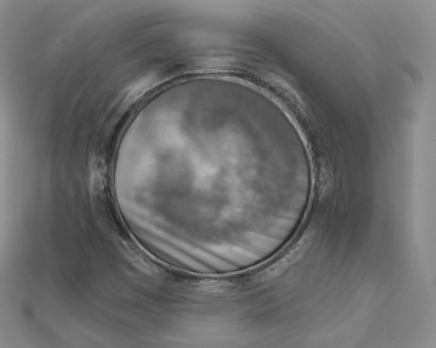 X0000112761449200909031538