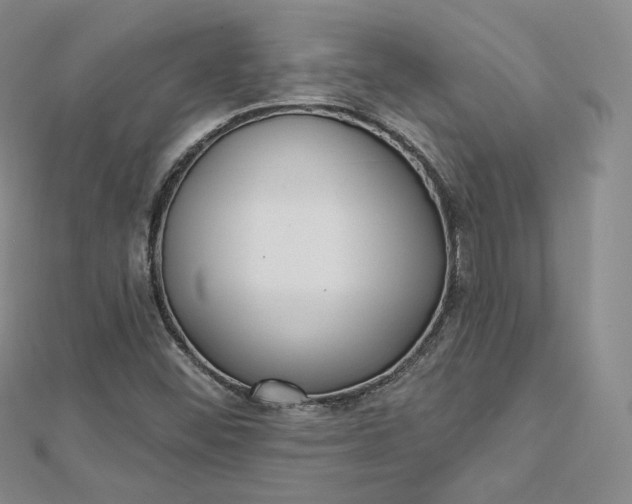 X0000112761452200909031538