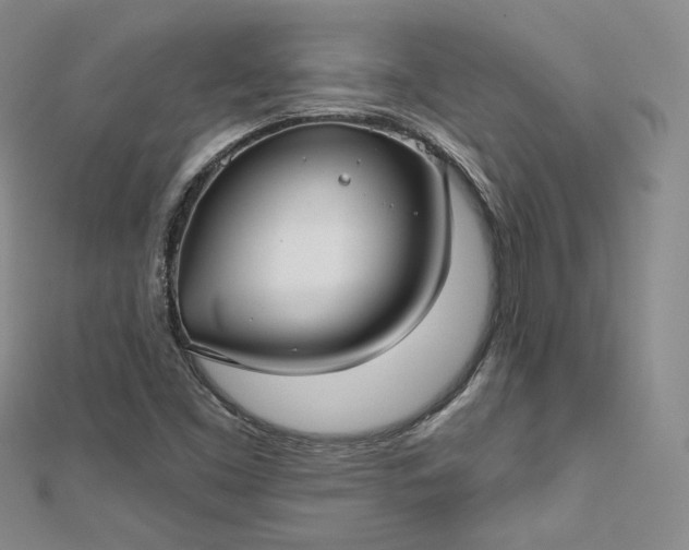 X0000112761453200909031538