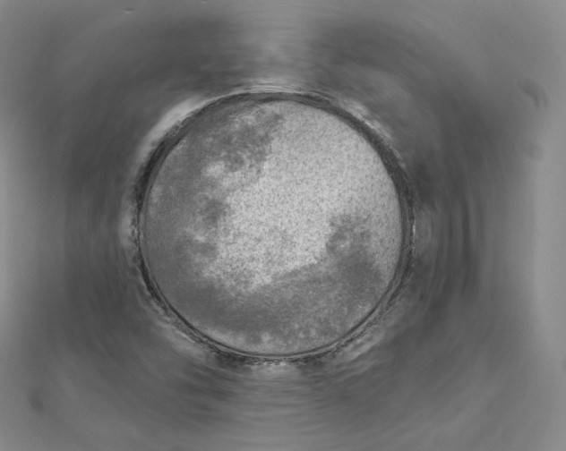 X0000112761454200909031537