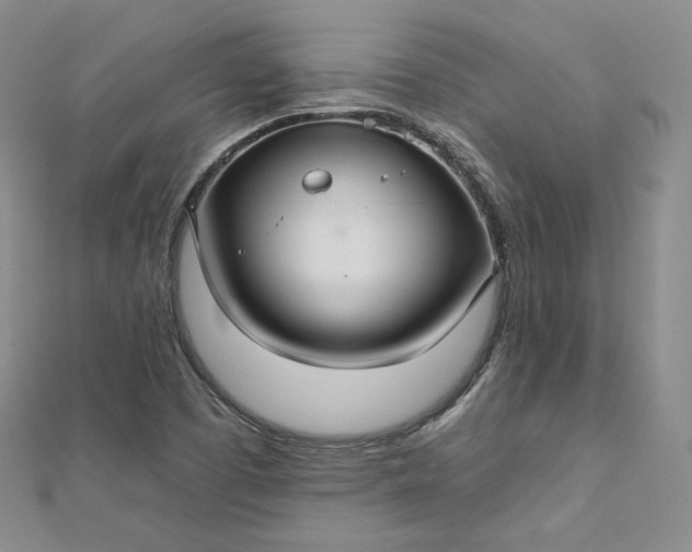 X0000112761457200909031537