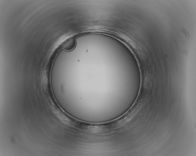 X0000112761458200909031537