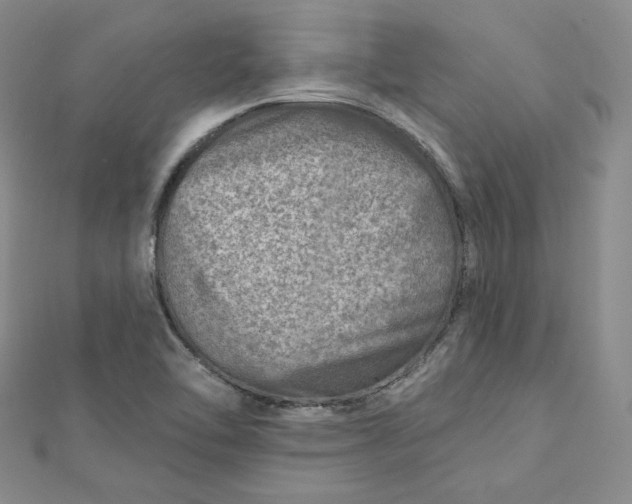 X0000112761462200909031537