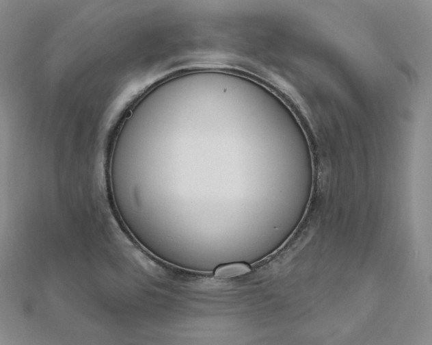 X0000112761464200909031537