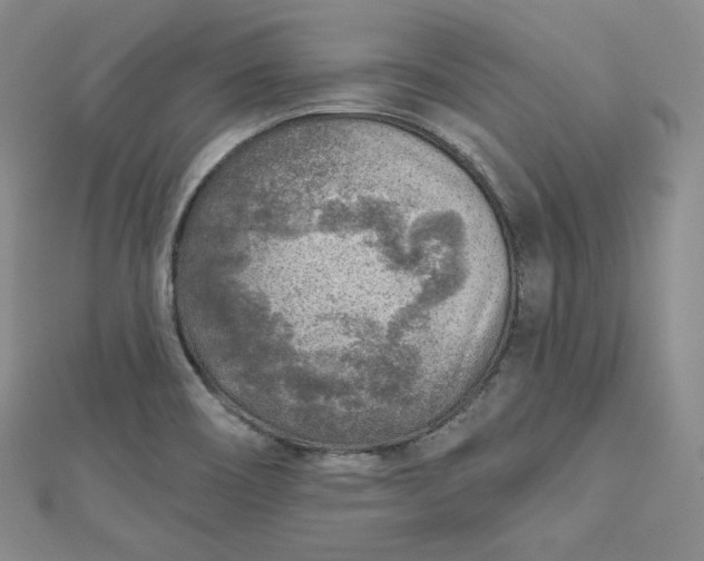X0000112761466200909031537