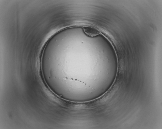 X0000112761467200909031537