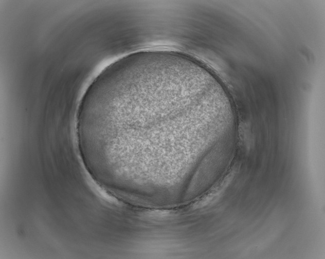 X0000112761470200909031537