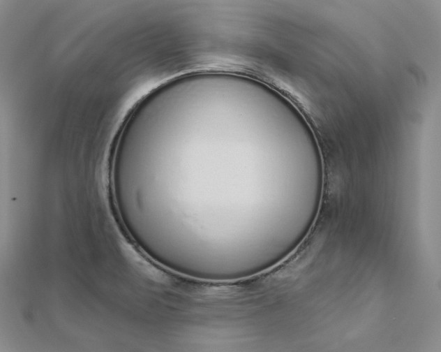 X0000112761471200909031537