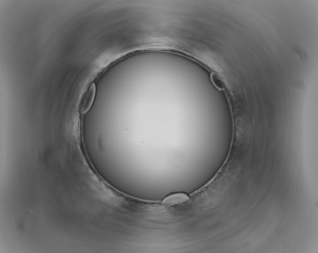 X0000112761472200909031537