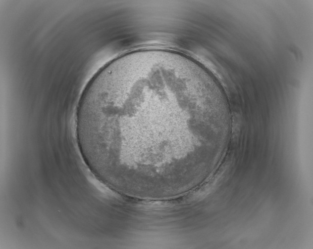 X0000112761474200909031537