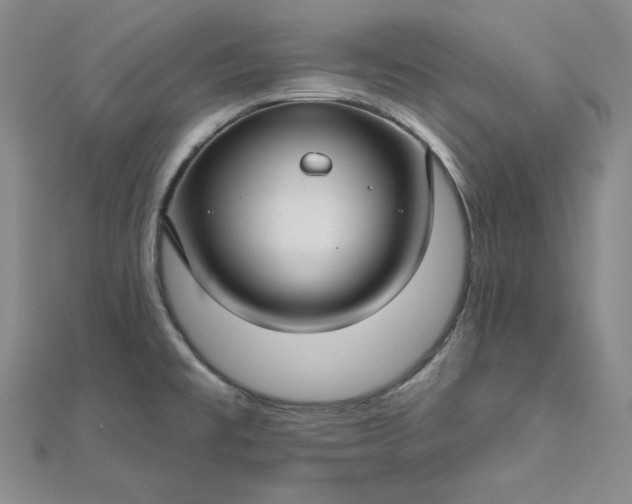 X0000112761477200909031537