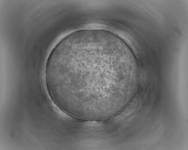 X0000112761478200909031537