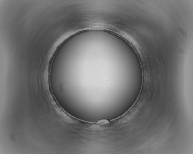 X0000112761480200909031537