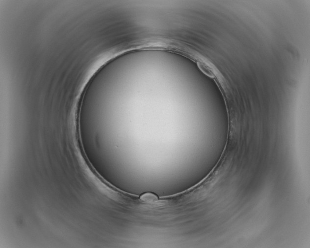 X0000112761483200909031537