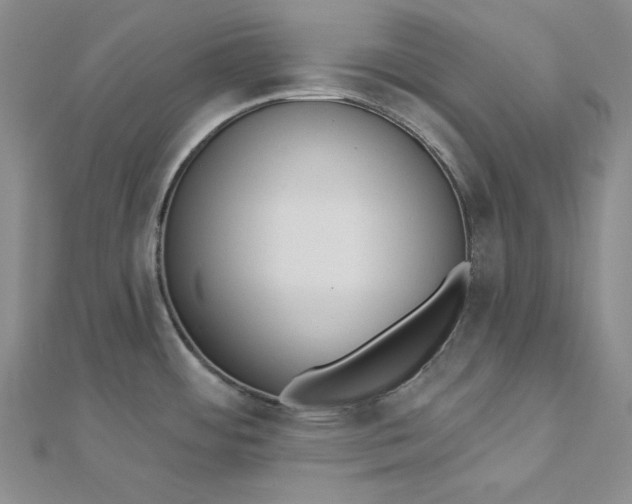 X0000112761484200909031537