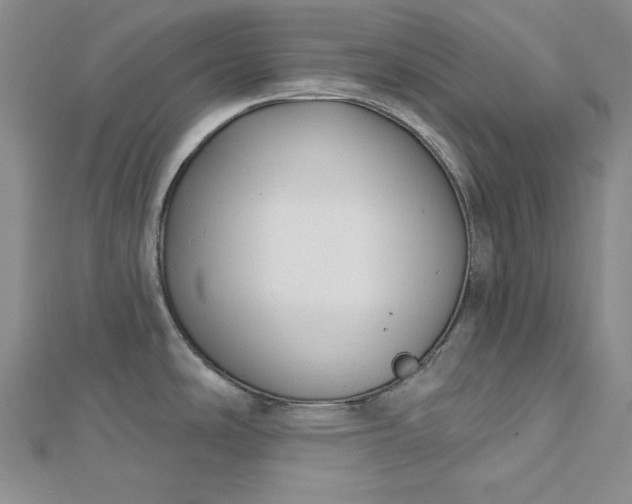 X0000112761486200909031537