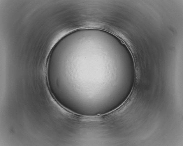 X0000112761487200909031537
