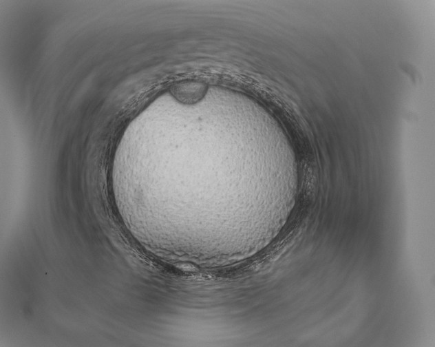 X0000112761489200909031536