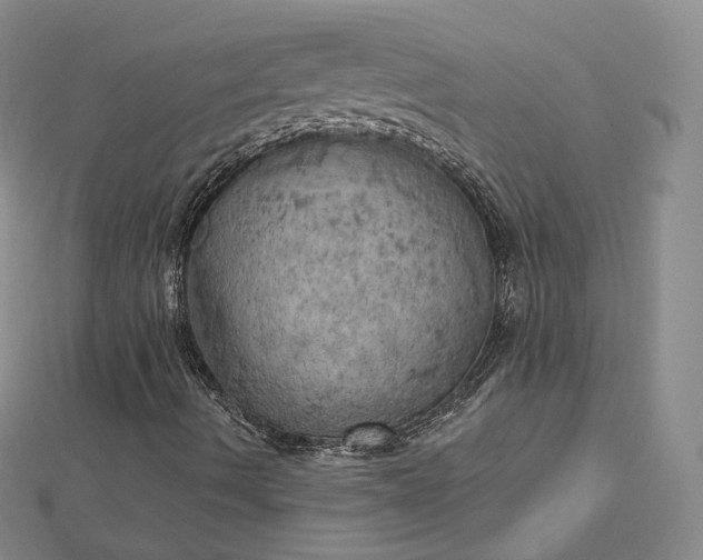 X0000112761490200909031536