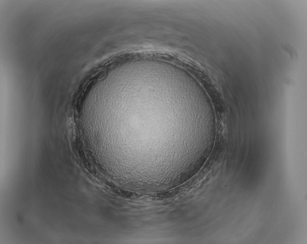 X0000112761493200909031536